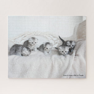 Cute Little Kittens Jigsaw Puzzle
