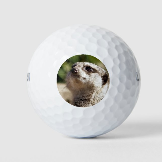 CUTE LITTLE MEERKAT GOLF BALLS (Front)