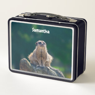 Cute Little Meerkat Metal Lunchbox