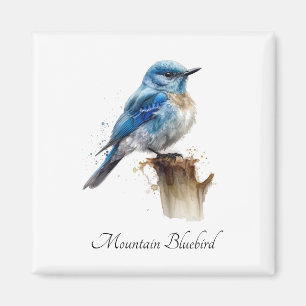 Cute Little Mountain Bluebird Watercolor, custom Magnet