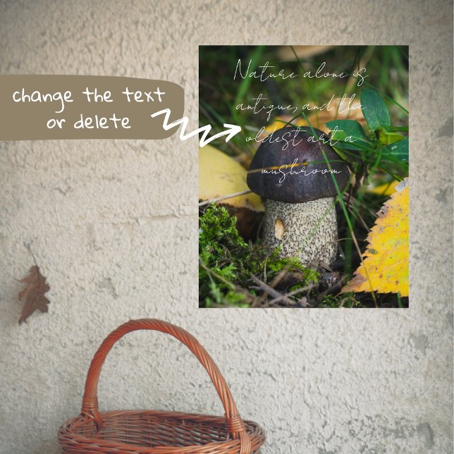 Cute little mushroom poster (Creator Uploaded)