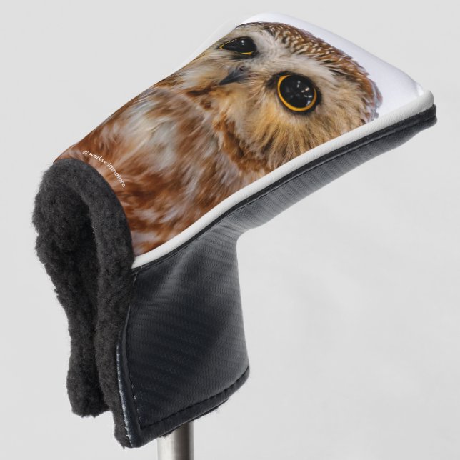 Cute Little Northern Saw Whet Owl Golf Head Cover (3/4 Front)