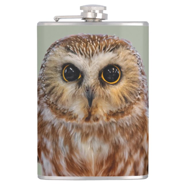 Cute Little Northern Saw Whet Owl Hip Flask (Front)
