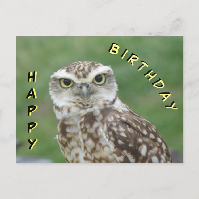 Cute little Owl Happy Birthday Postcard (Front)