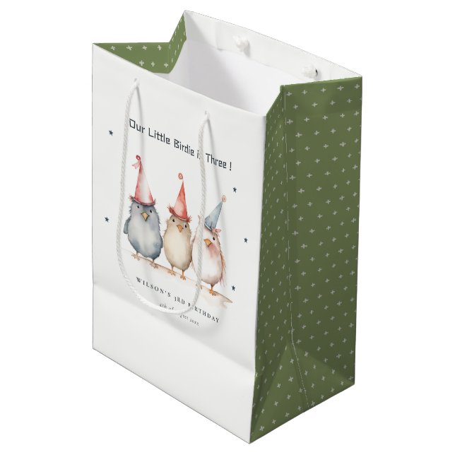 Cute Little Party Birds Any Age Kids Birthday Medium Gift Bag (Front Angled)