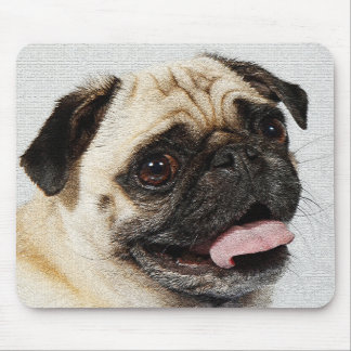 cute little pug dog mouse pad