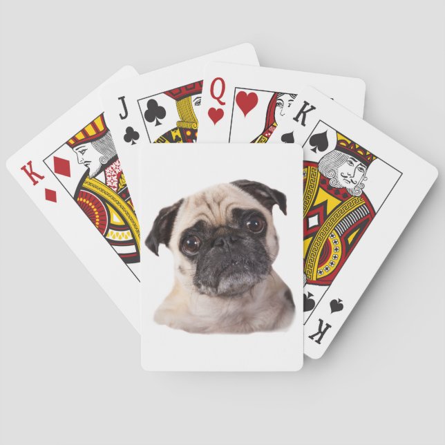 cute little pug dog playing cards (Back)