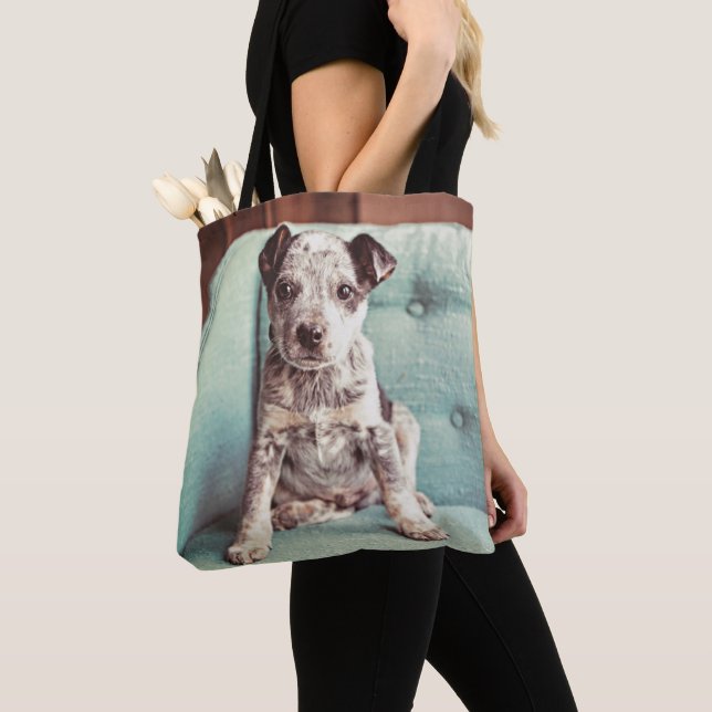 Cute Little Puppy On Teal Chair Tote Bag (Close Up)