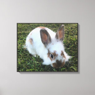 Cute Little Rabbit in the Grass Canvas Print