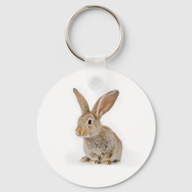 Cute little rabbit key ring (Front)