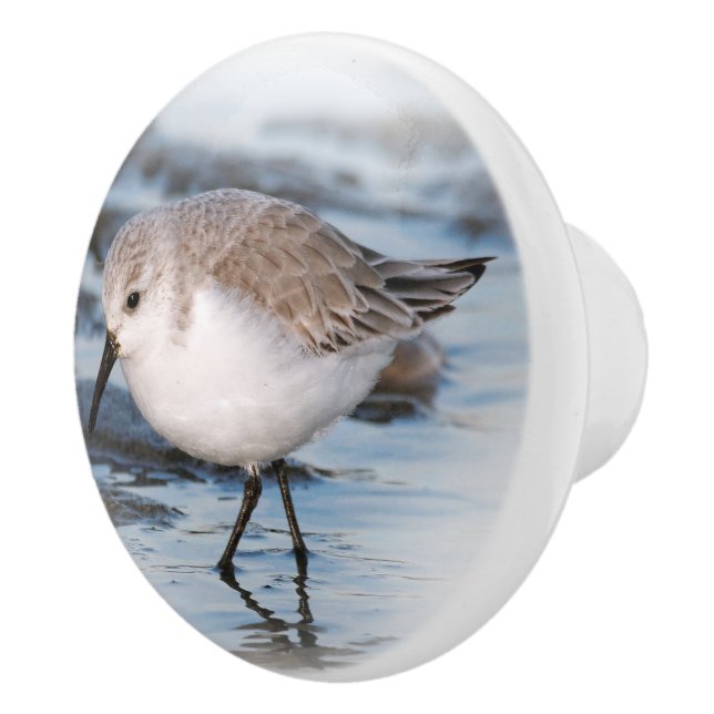 Cute Little Sanderling at the Beach Ceramic Knob (Right)