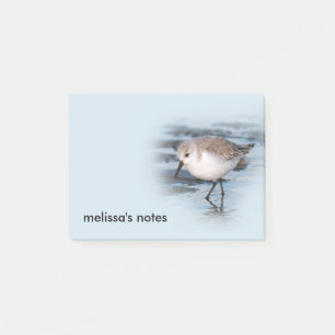 Cute Little Sanderling at the Beach Post-it Notes
