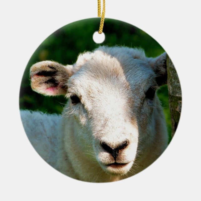 CUTE LITTLE SHEEP CERAMIC TREE DECORATION (Front)