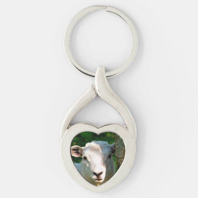 CUTE LITTLE SHEEP KEY RING (Front)
