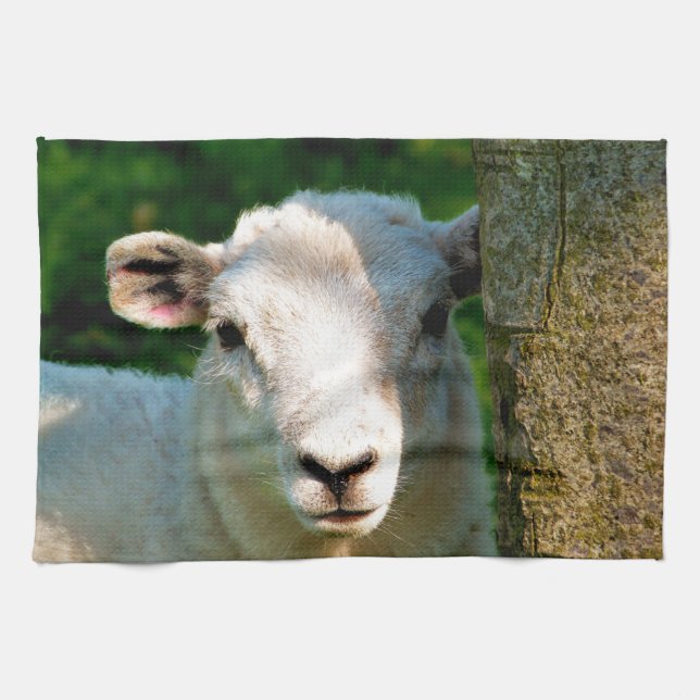 CUTE LITTLE SHEEP TEA TOWEL (Horizontal)
