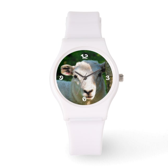 CUTE LITTLE SHEEP WATCH (Front)