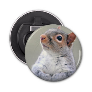 Cute Little Soft and Fluffy Grey Squirrel Bottle Opener