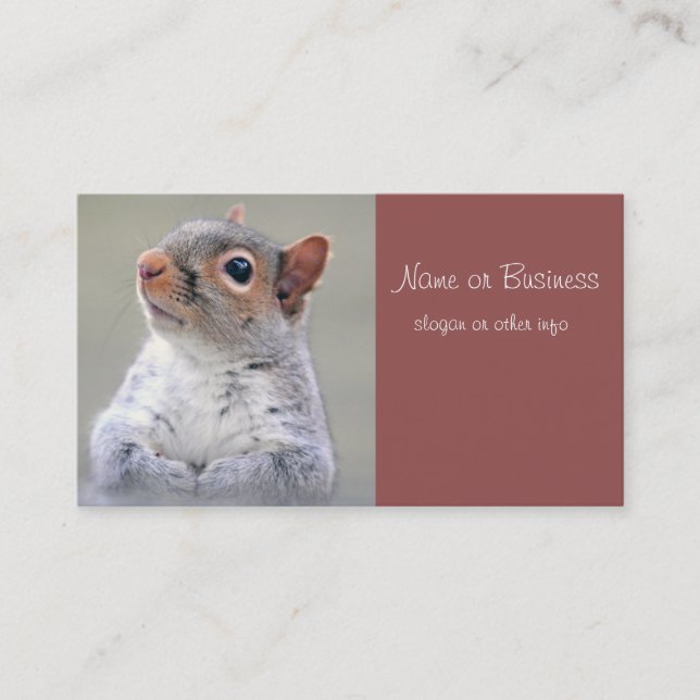 Cute Little Soft and Fluffy Grey Squirrel Business Card (Front)
