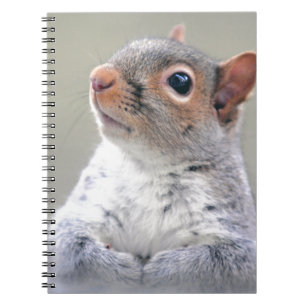 Cute Little Soft and Fluffy Grey Squirrel Spiral Notebook