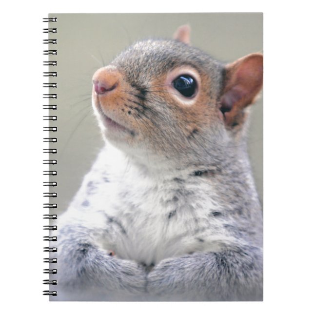 Cute Little Soft and Fluffy Grey Squirrel Spiral Notebook (Front)