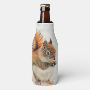 Cute Little Squirrel Eating Nuts Bottle Cooler