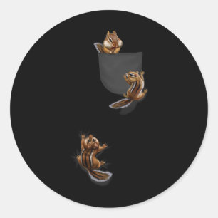 Cute Little Squirrel Playing, Climbing In Pocket, Classic Round Sticker