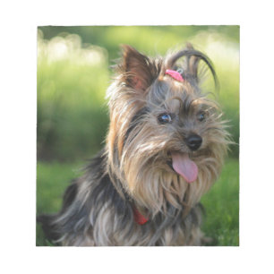 Cute Little Yorkshire Terrier Dog Notepad