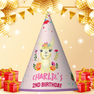 Cute Llama Animal Birthday Party Colourful Mexican Hat