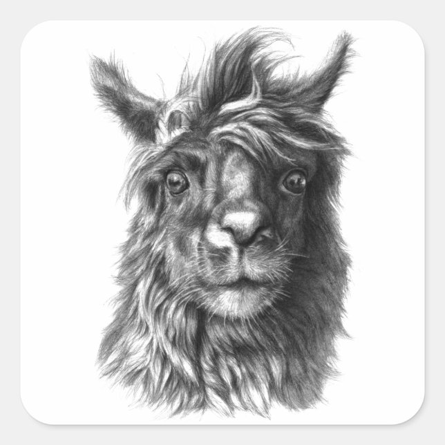 Cute Llama portrait Square Sticker (Front)