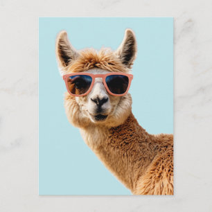 Cute Lllama With Sunglasses On Postcard