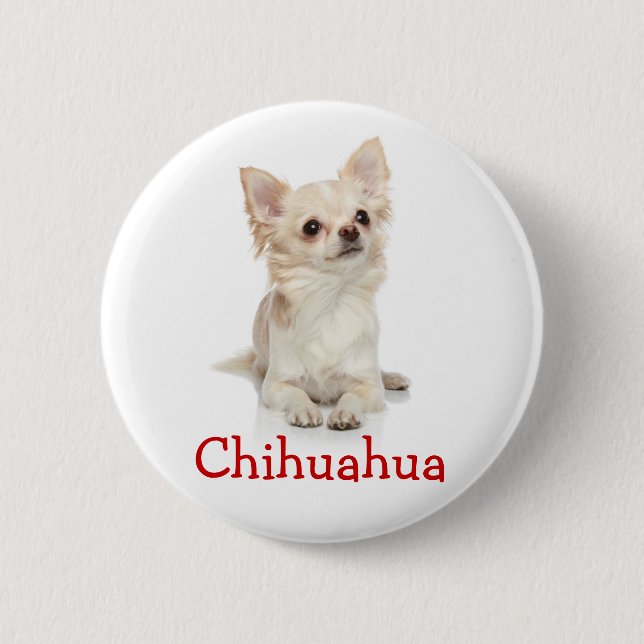 Cute Long Haired Chihuahua Button Pin (Front)