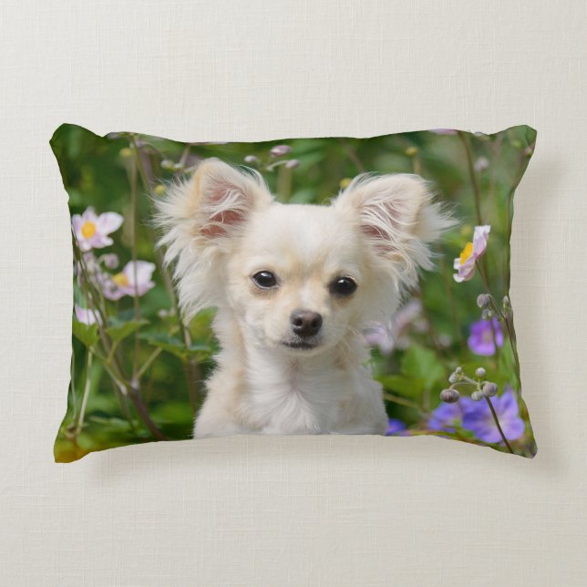 Cute long-haired Chihuahua Dog Puppy Photo - Throw Decorative Cushion (Front)