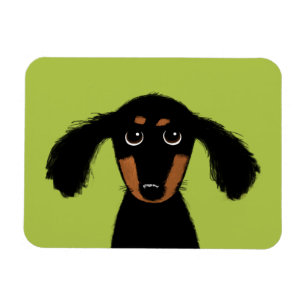 Cute Long Haired Dachshund Puppy Magnet