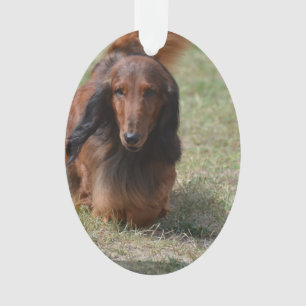 Cute Long Haired Daschund Ornament