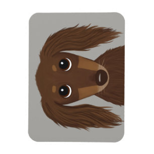 Cute Longhaired Chocolate Brown Dachshund Magnet