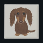 Cute Longhaired Chocolate Brown Dachshund Magnet<br><div class="desc">Cute Dachshund Magnet</div>