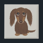 Cute Longhaired Chocolate Brown Dachshund Magnet<br><div class="desc">Cute Dachshund Magnet</div>