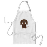 Cute Longhaired Chocolate Brown Dachshund