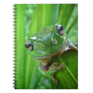 Cute Looking Tree Frog Close Up Notebook