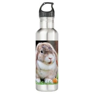 Cute lop-eared rabbit 710 ml water bottle