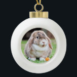 Cute lop-eared rabbit   ceramic ball christmas ornament<br><div class="desc">Cute  lop-eared rabbit. In the store,  use photos from the network that have been marked as Public Domain or CC0 and can be used for free.</div>