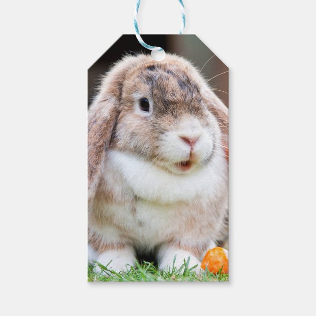Cute lop-eared rabbit  gift tags (Front)