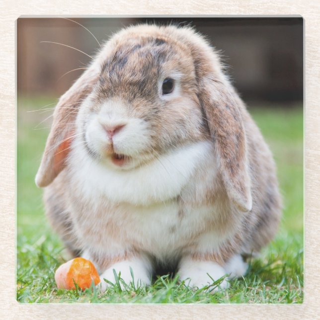 Cute Lop-Eared Rabbit in Grass with Carrot Glass Coaster (Front)