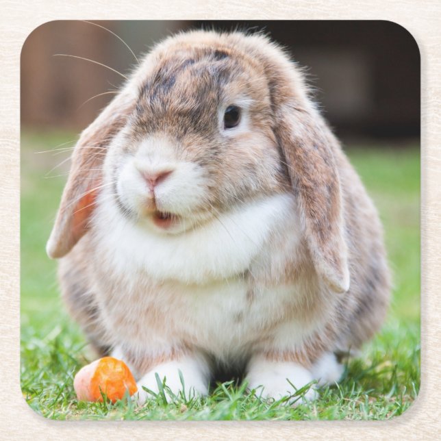 Cute Lop-Eared Rabbit in Grass with Carrot Square Paper Coaster (Front)