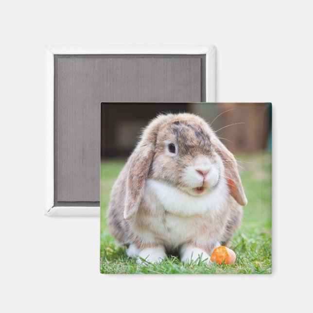 Cute Lop Eared Rabbit in the Grass with Carrot Magnet (Front/Back)