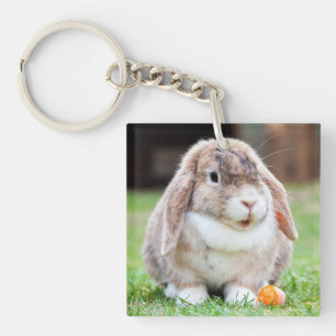 Cute lop-eared rabbit   key ring