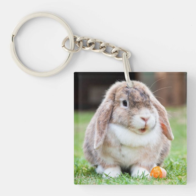 Cute lop-eared rabbit   key ring (Front)