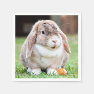 Cute lop-eared rabbit napkin