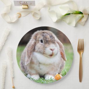 Cute lop-eared rabbit paper plate