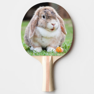 Cute lop-eared rabbit ping pong paddle